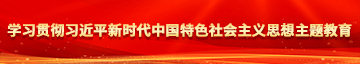 插啊好爽学习贯彻习近平新时代中国特色社会主义思想主题教育